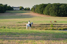 France-Auvergne-Auvergne Chateau Equestrian Escape